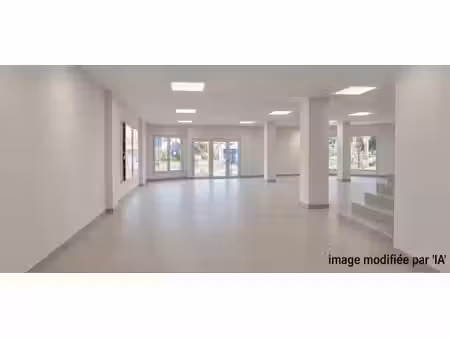 location commerce 208 m² à angers (49100)