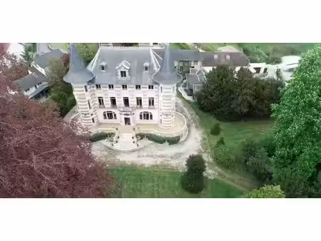 château jaulgonne (02)