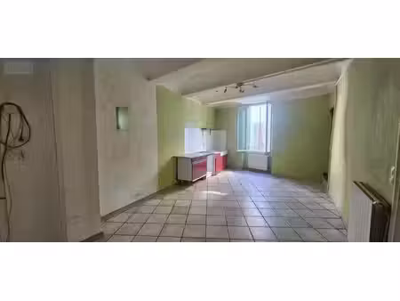 maison en vente saint-bauzille-de-putois (34190)