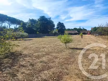 terrain à vendre - 947 m2 - trausse - 11 - languedoc-roussillon