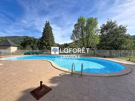 appartement entraygues sur truyere 2 pièce(s) 35 m2