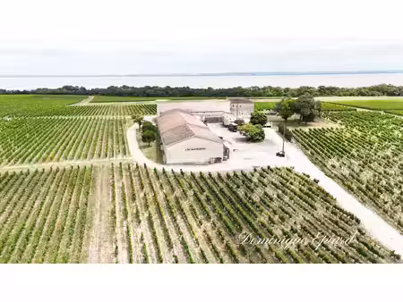 exclusivité à vendre vignoble cru bourgeois médoc vue exceptionnelle