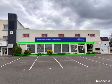 location local professionnel de 223m2