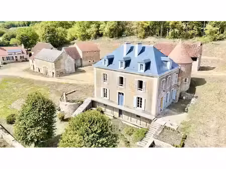 vente propriété 11 pièces 462 m² à clamecy (58500)  460 000 €