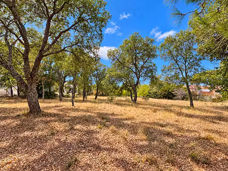 terrain le cannet des maures