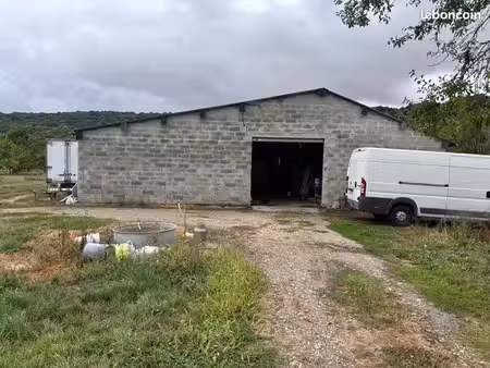hangar entrepôt 350m2