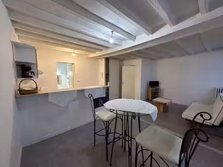 f1 chinon - 1 pièce(s) - 30 m2