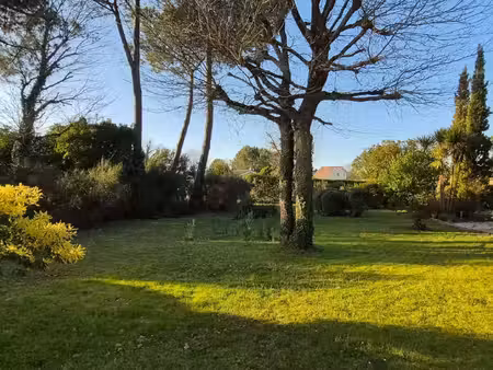 terrain constructible