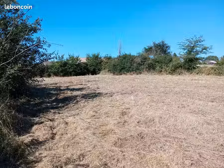 terrain viabilisé