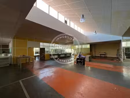 vente local d’activités toulouse 31100 600m²