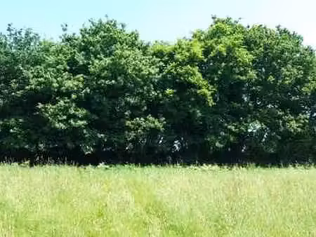 vente terrain à fréhel (22240) : à vendre / fréhel
