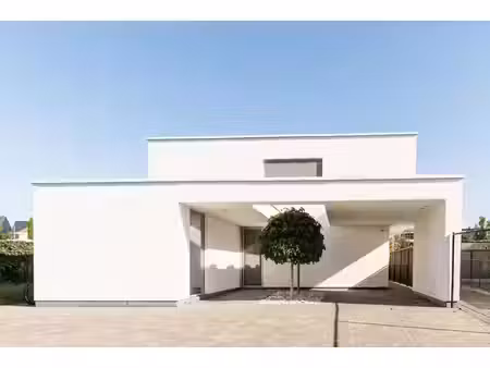 moderne  instapklare open bebouwing nabij het centrum van bornem