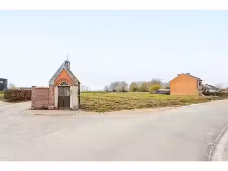 w e l l e m an - wonen met meerwaarde