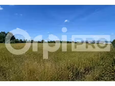 vente terrain sainte genevieve 60730 1100m²