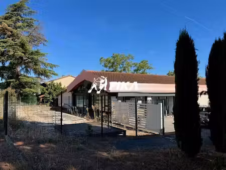 vente commerce castanet tolosan 31320 374m²