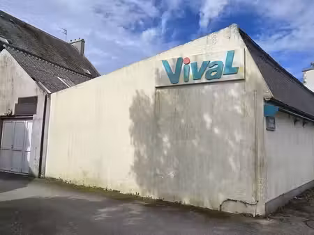 murs commerciaux 200m²