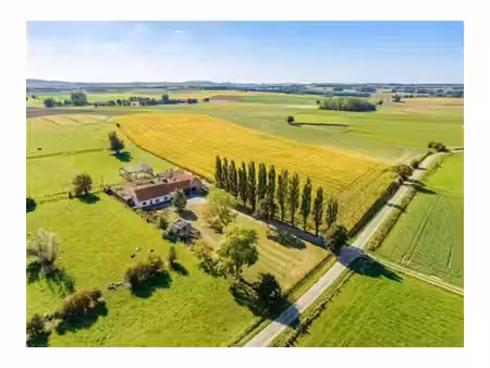 ferme à vendre à rue de cordes 5 celles (rbx02171)