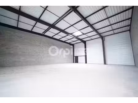 vente local d’activités saint vulbas 01150 284m²