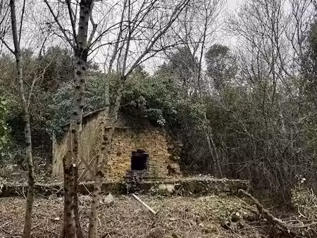 vente terrain à batir 796 m² à saint-vincent-d'olargues (34390)  16 000 €
