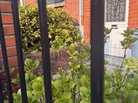 maison lambersartoise 4 chambres et jardin