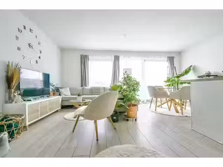 appartement te koop in bornem met 2 slaapkamers
