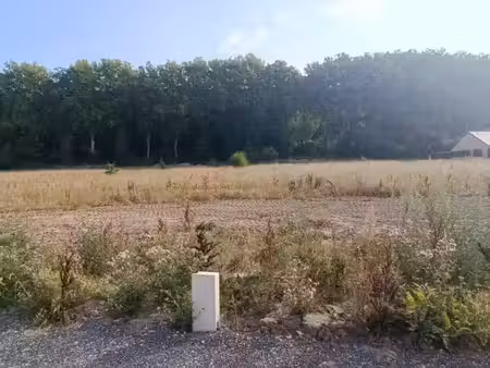 vente terrain 505 m² à montfort-sur-risle (27290)  33 700 €
