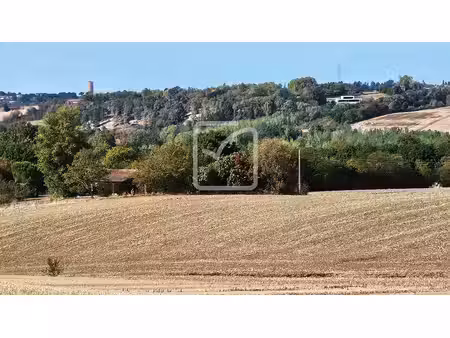 31280 31130 ferme rénovée villa 245 m2 habitables