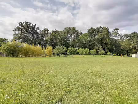 vente terrain 1000 m² créon (33670)