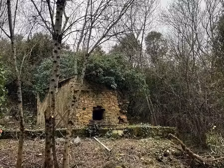 terrain avec mazet