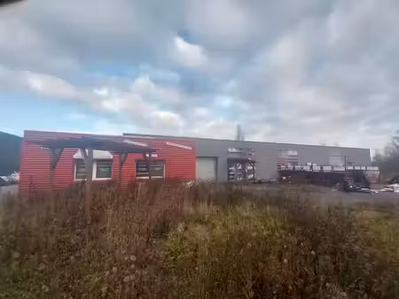 vente locaux professionnels 0 pièces 700 m² à dieuze (57260)  300 000 €