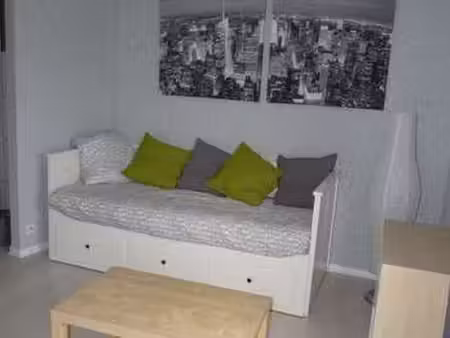 location appartement t1 meublé à pau (64000) : à louer t1 meublé / 20m² pau