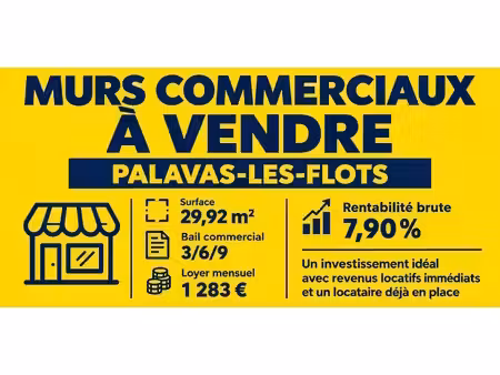 vente locaux professionnels 30 m² à palavas-les-flots (34250)  185 000 €