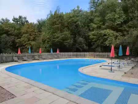 vente locaux professionnels 50000 m² à le vigan (46300)  620 000 €
