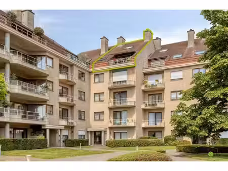 appartement te koop in antwerpen met 3 slaapkamers