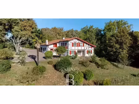 maison avec jardin et terrasse urcuit (64)