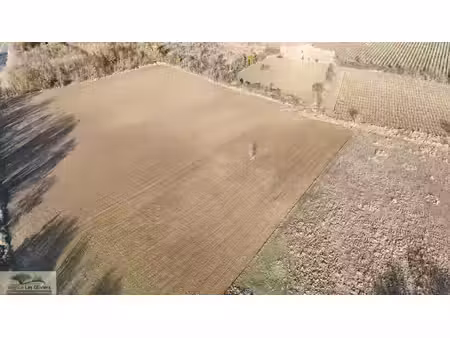 terrain agricole