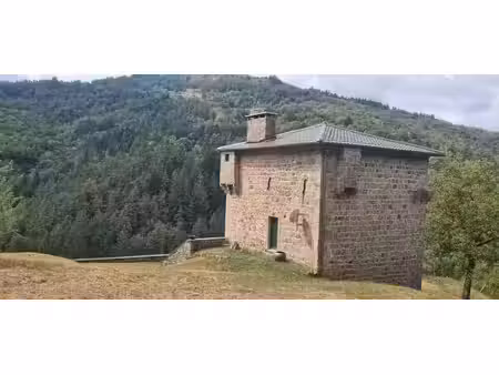 vente maison 7 pièces 238 m² à rochepaule (07320)  865 000 €