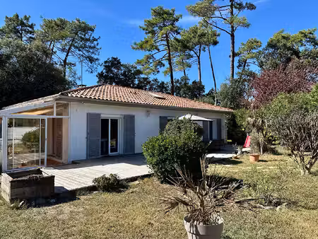 tarnos : le charme d'une vie entre océan et forêt