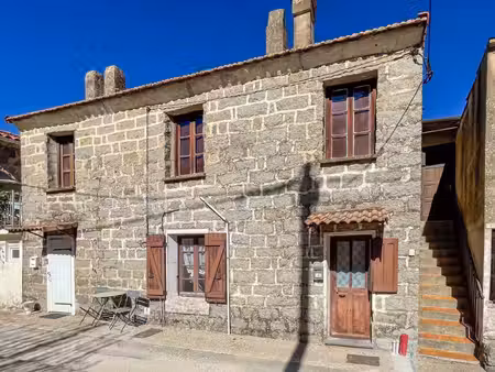 appartement à vendre 4 pièces sollacaro (20)