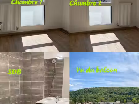 appartement t3 echirolles  la frange verte