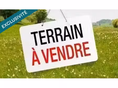 beau terrain plat