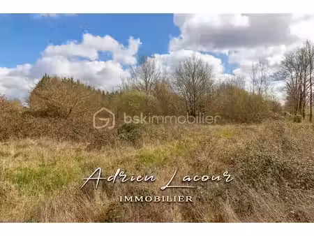 terrain de 20 972 m² à pruniers-en-sologne