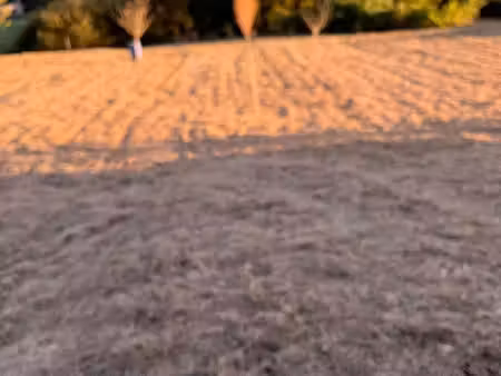 terrains 635 et 625 m2