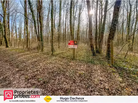terrain constructible - 6783 m² - boisé -