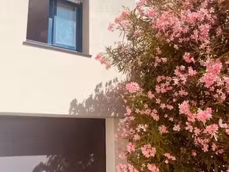 location maison à larmor-plage (56260) : à louer / 100m² larmor-plage