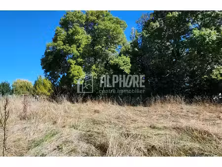 terrain constructible à 12 km de savenay.