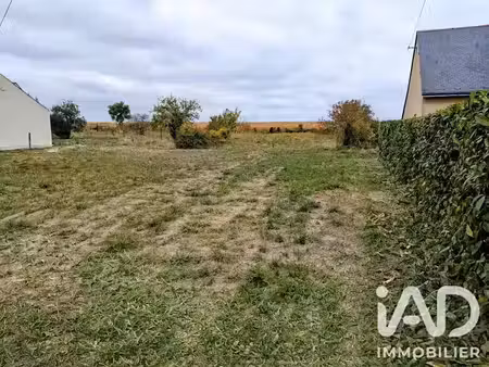 vente terrain 641 m² à beaufort-en-vallée (49250)  49 000 €