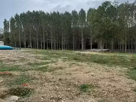 vente terrain 680 m² à marcenais (33620)  62 000 €