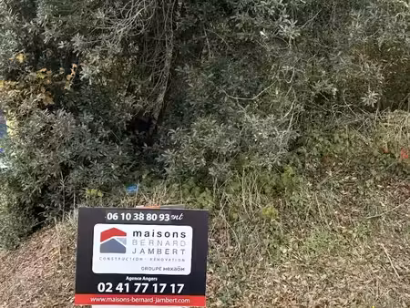 vente terrain 588 m² à tiercé (49125)  73 500 €