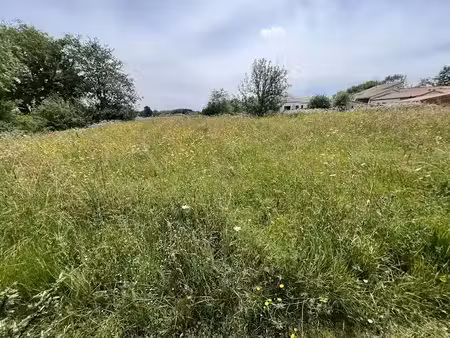 vente terrain à batir 4000 m² à vertou (44120)  750 000 €